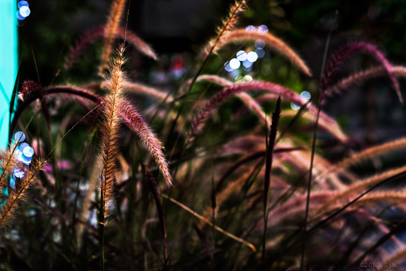 Lat Phrao, Bangkok August 2016