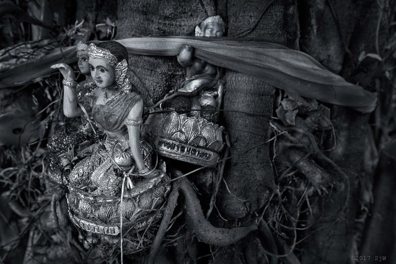 Nang Kwak statuette tied to a tree in Bangkok