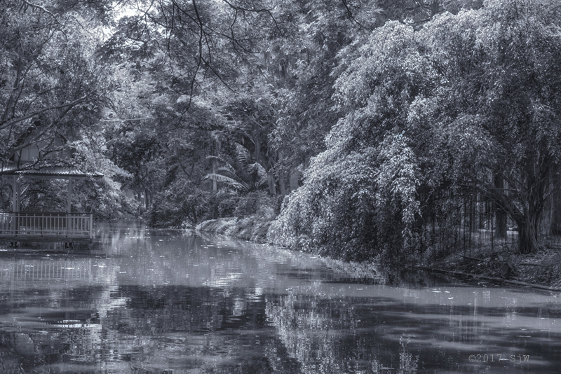 Sunlight in the trees beside a waterway in Nakhon Pathom