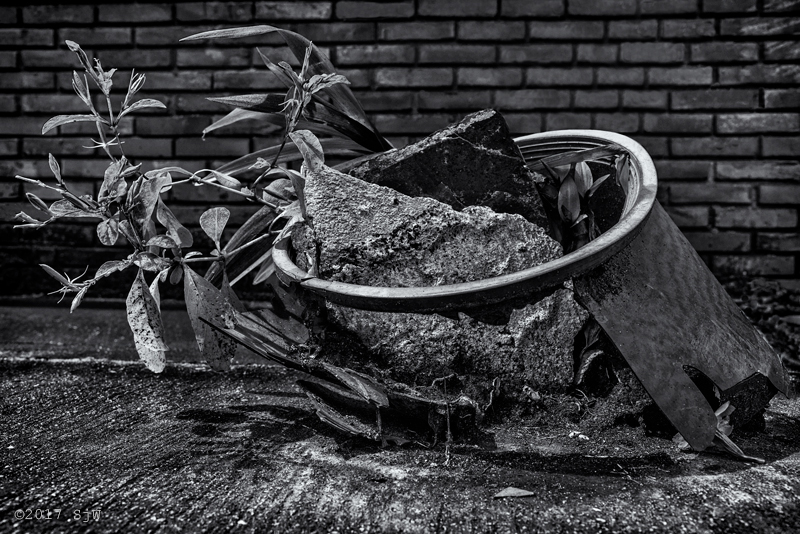 Plant with concrete slabs in a broken plastic plant pot