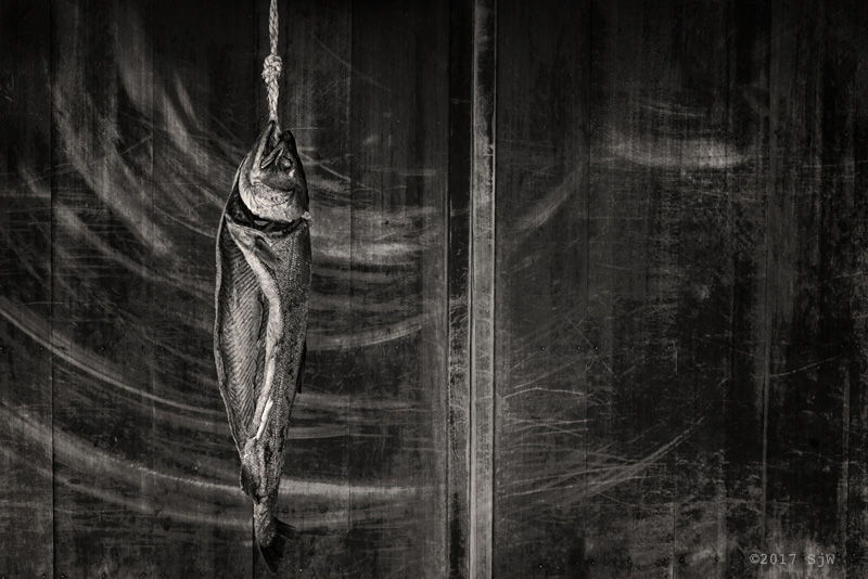 Dried fish hanging on a rope in front of a wooden door