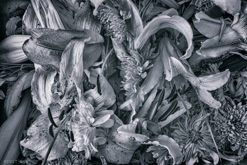 Discarded flower offerings