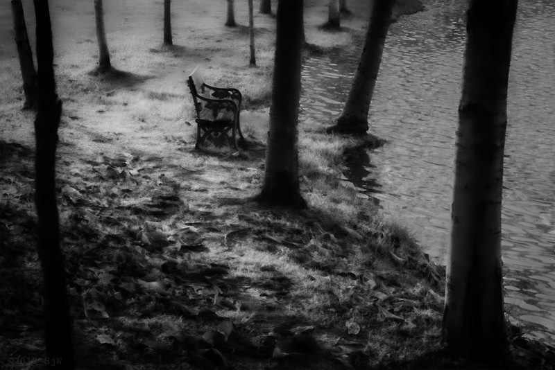 Park bench beside a lake in Bangkok